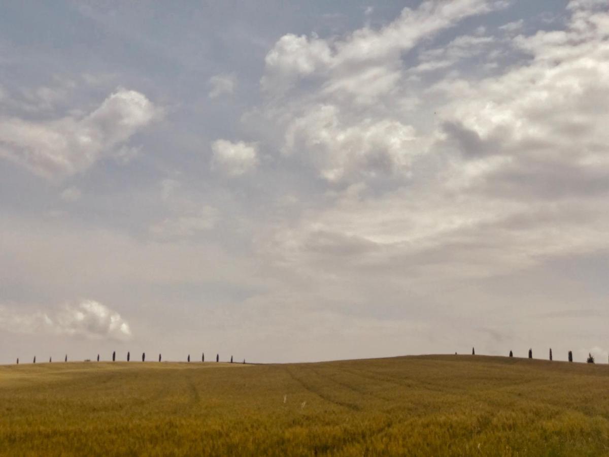 La Saracina 2* Pienza