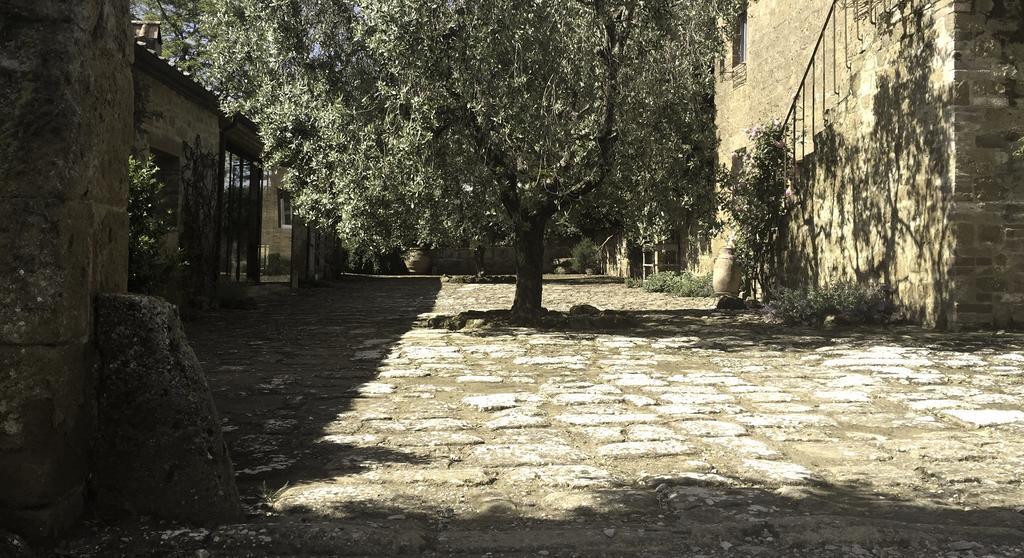 La Saracina