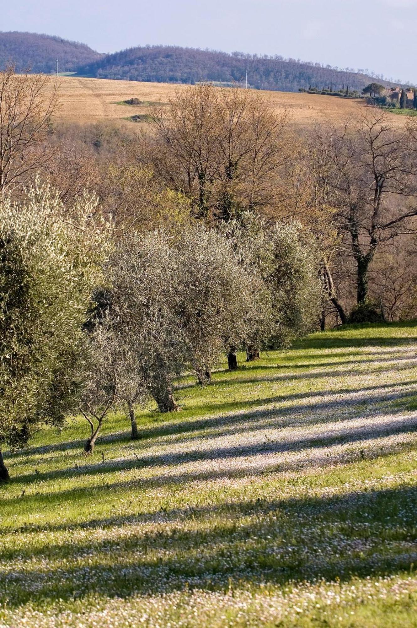 La Saracina